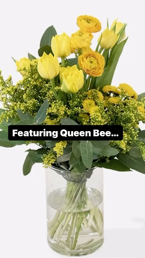 🐝✨ Meet the Queen Bee of Bouquets! Our ‘Queen Bee’ arrangement buzzes into the spotlight, featuring a vibrant blend that’s as regal and captivating as its namesake. But did you know? In the bee world, the Queen Bee is the heart and soul of her hive, much like this bouquet is the centerpiece of any room it graces.🌸👑

Embrace the majesty of nature with flowers sent straight from the garden to your door. Whether you’re crowning a special occasion or simply treating your space to some floral royalty, the ‘Queen Bee’ bouquet promises to reign supreme. 🌹🏰

➡️ FOLLOW if you LOVE flowers 🌷

#sendflowers #flowerdelivery #onlineflorist #flowerlovers #flowersmakemehappy #ig_reels #queenbees