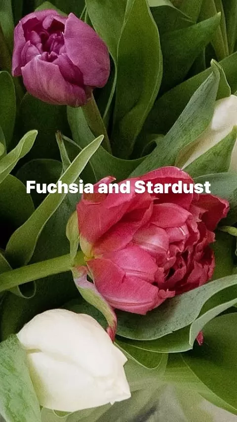 Spring into Bloom 🌷✨ Dive into the vibrant colours of spring with these two beautiful tulip bouquets: ‘The Fuchsia’ with its elegant mix of purple, pink, and white tulips, and ‘The Stardust,’ a lively blend of orange, yellow, and green tulips. 

Ready to brighten your space or send a burst of spring joy to someone special? 🎁💐 Flower delivery has never been easier. Tap to send flowers now and let the colours of spring do the talking. 

➡️ FOLLOW if you LOVE flowers 🌷🌷

#SpringBlooms #SendFlowers #FlowerDelivery #tulipbouquet #ig_uk