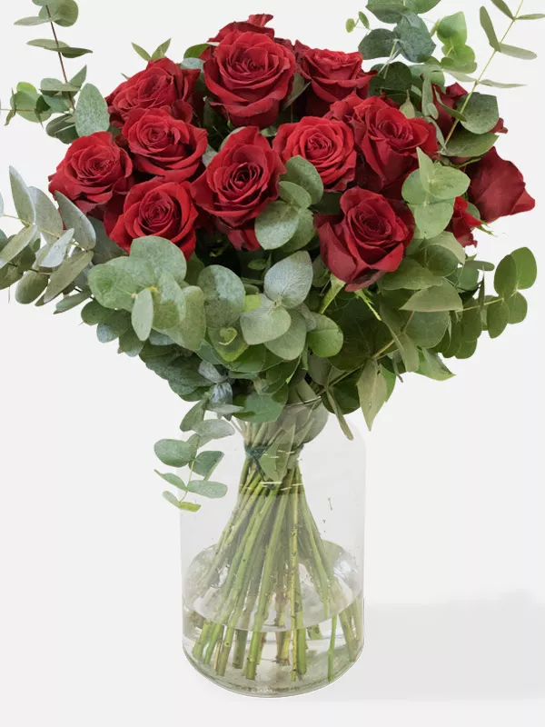 24 long stem Freedom Red Roses in a vase with Eucalyptus cineraria