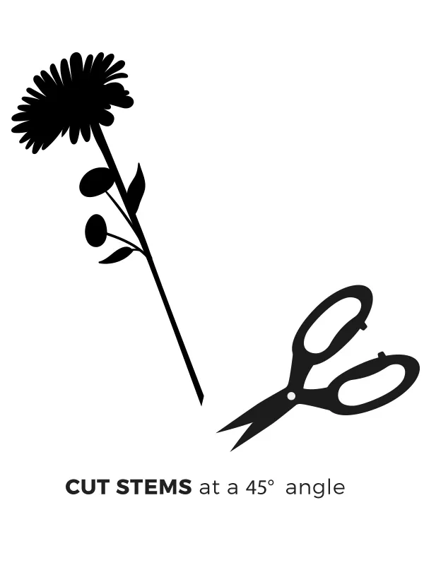 cut the stems of your flower bouquet at a 45° angle