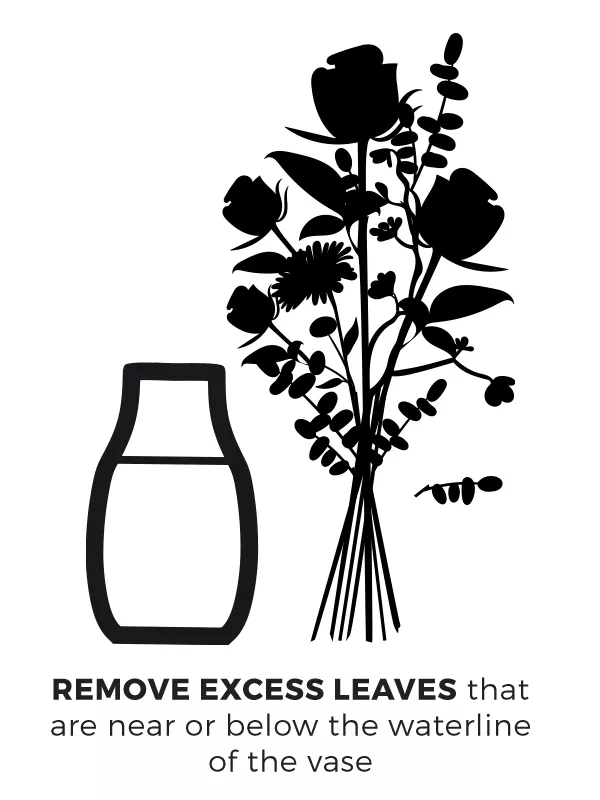 Remove any excess leaves below the waterline