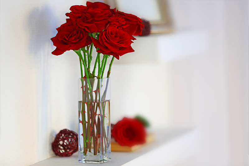 Roses in a vase perfectly pruned to keep fresh longer