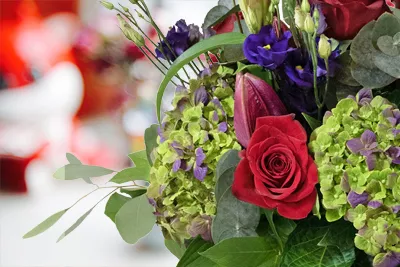 Close-up of a red rose in a colourful bouquet of mamba lilies roses and hydrangeas in the office