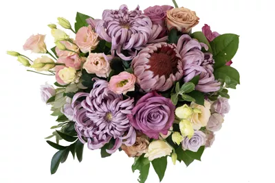 Bouquet of purple magnum chrysanthemums and roses with yellow and peach flowers for accent colour.