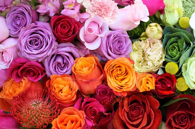 Colourful roses, carnations, Craspedia and Brassica flowers arranged by colour