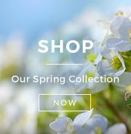 Shop our Spring collection of flowers