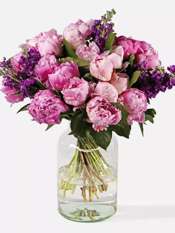 Peony-berry bouquet with British pink peonies and Purple Stocks