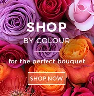 Shop flowers by colour, find the perfect bouquet, Shop Now