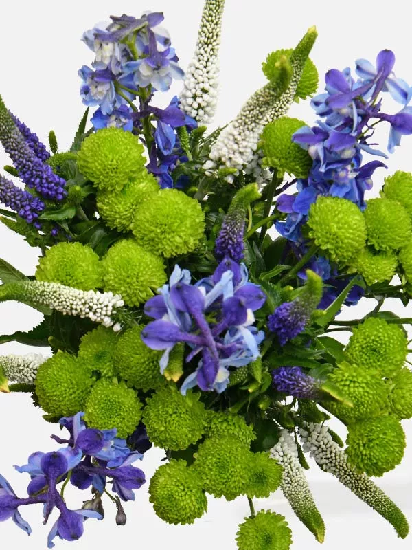 Light blue Delphinium, Green Santini chrysanthemums, White Veronica, Blue Veronica