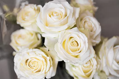 Beautiful White Rose flower bouquet in a vase